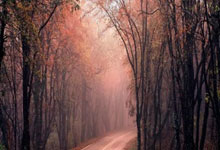 蓝黑双锋!劳塔罗社媒晒与小图拉姆健身合照.