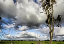 爱游戏:西蒙年以来国家队点球大战次扑点,同期仅少于大马丁.