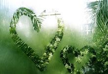 爱游戏:英超:西哈姆以0比1 不敌纽卡斯尔.