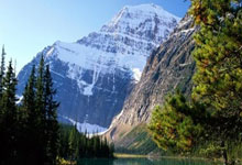 泰晤士报:曼联接近任命阿莫林 范尼可能只带一场.