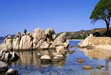 阿斯报列举皇马不稳定球员:卡马文加、阿拉巴等在列.